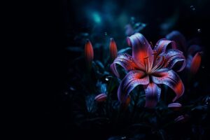 Read more about the article Journey of Serenity and Self-Discovery