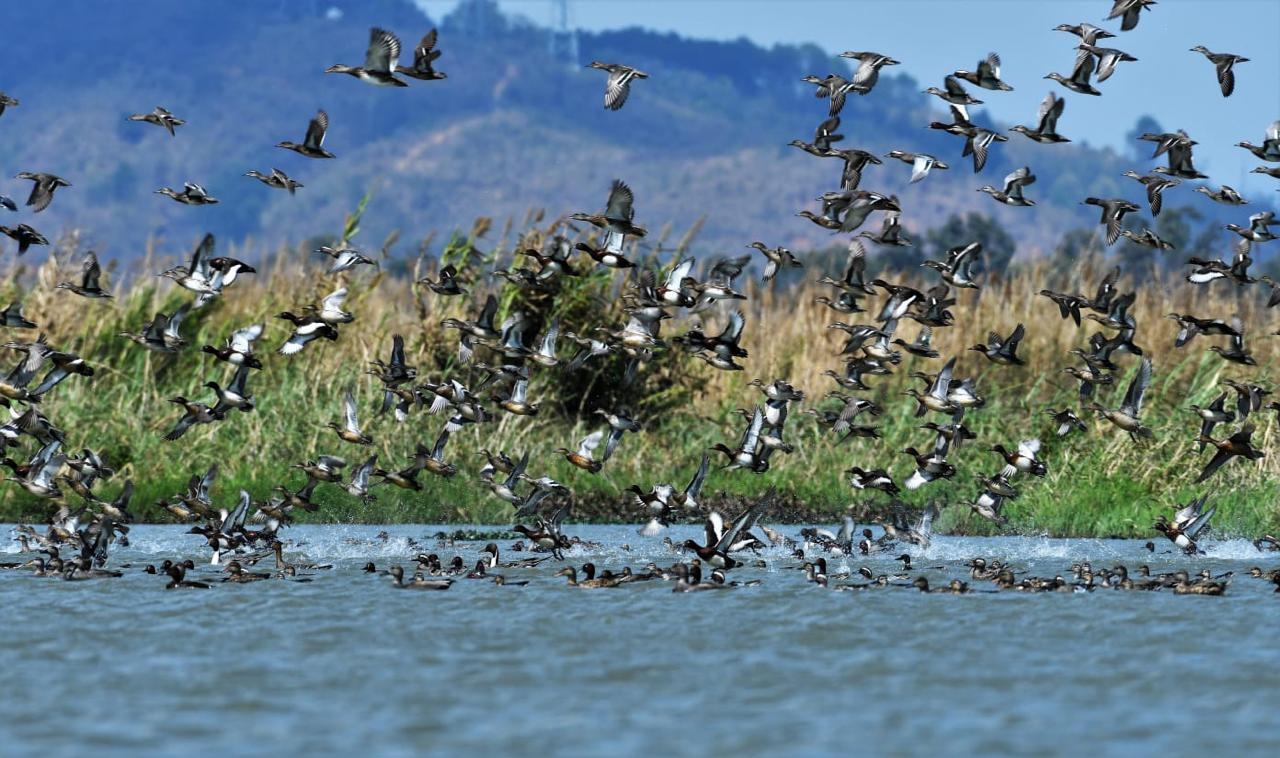 You are currently viewing State Level Observance of World Wetlands Day on 2 February 2026 at Yaralpat, Imphal East